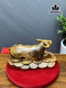 tuong-trau-go-cam-cao-25-ngang-46-sau-28-cm-445293