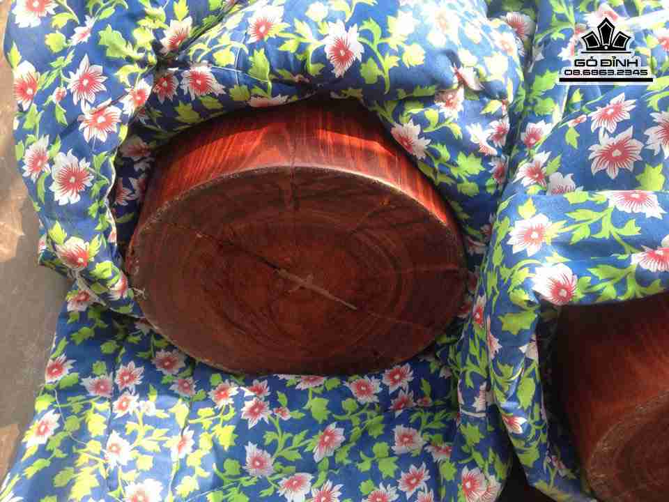 Cap-Tru-go-son-huyet