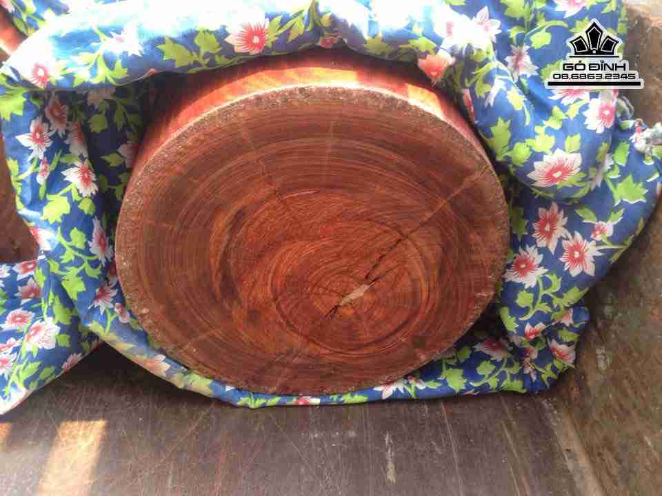 Cap-Tru-go-son-huyet