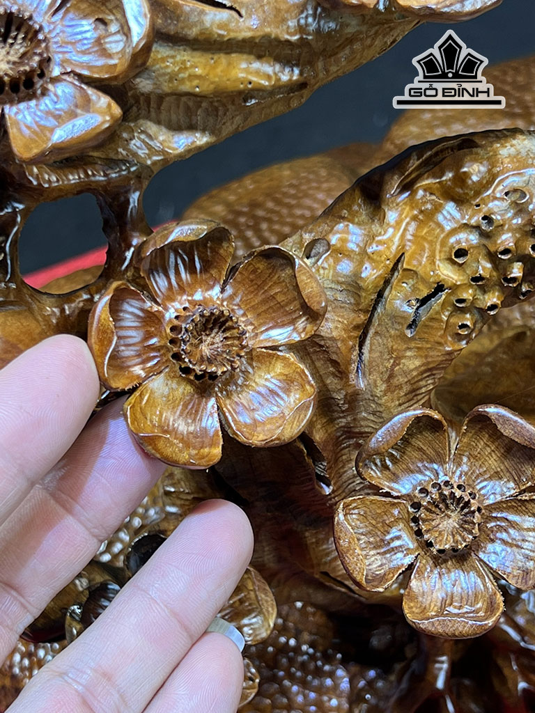 cay-tung-bon-mua-phu-quy-go-nu-ngoc-am-cao-ca-ky-111-rieng-ky-12-ngang-75-sau-30-cm-445387