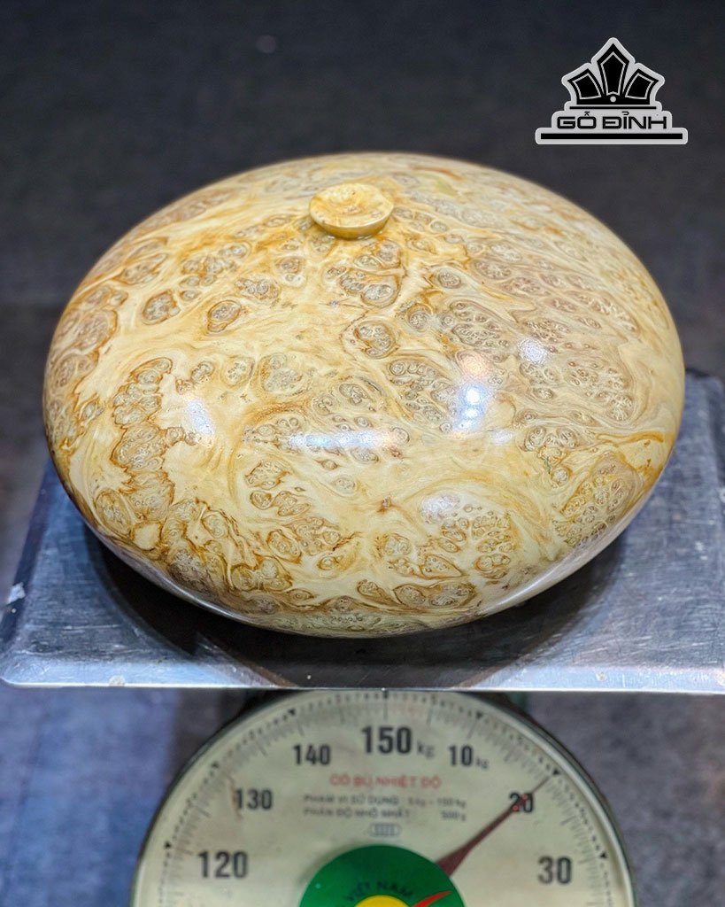 chum-phu-quy-go-nu-nghien-cao-22-duong-kinh-39-cm-445396