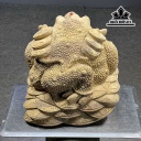 tuong-thiem-thu-go-xa-xi-cao-29-ngang-31-sau-29-cm-445506