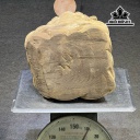 tuong-thiem-thu-go-xa-xi-cao-29-ngang-31-sau-29-cm-445507