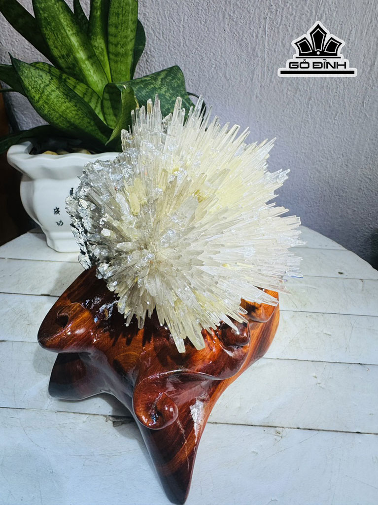 bong-hoa-uu-dam-da-tram-tich-cao-19-ngang-15-cm-19kg-445597