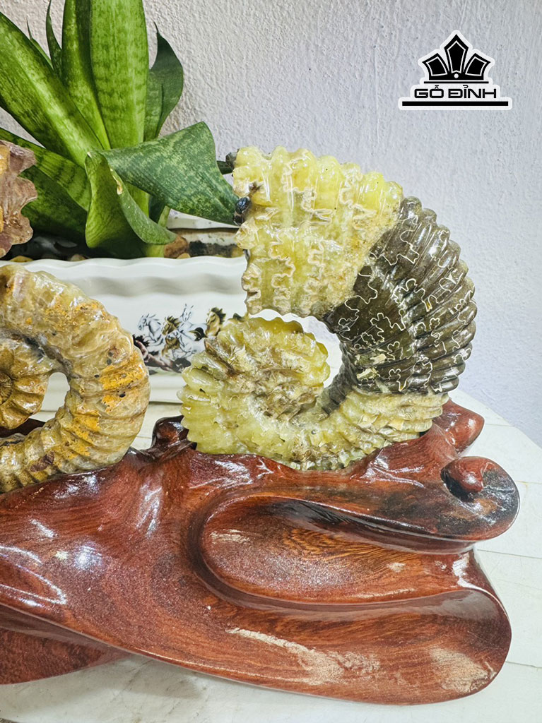 cap-oc-anh-vu-hoa-ngoc-cao-20-ngang-24-cm-18kg-445612