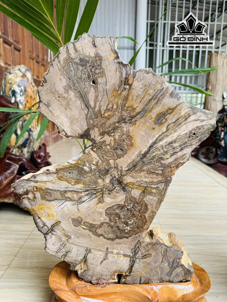 tac-pham-go-hoa-thach-cao-60-ngang-40-sau-55-cm-182kg-445675