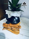 tac-pham-hoa-cuc-hoa-thach-cao-22-ngang-13-cm-09kg-445691
