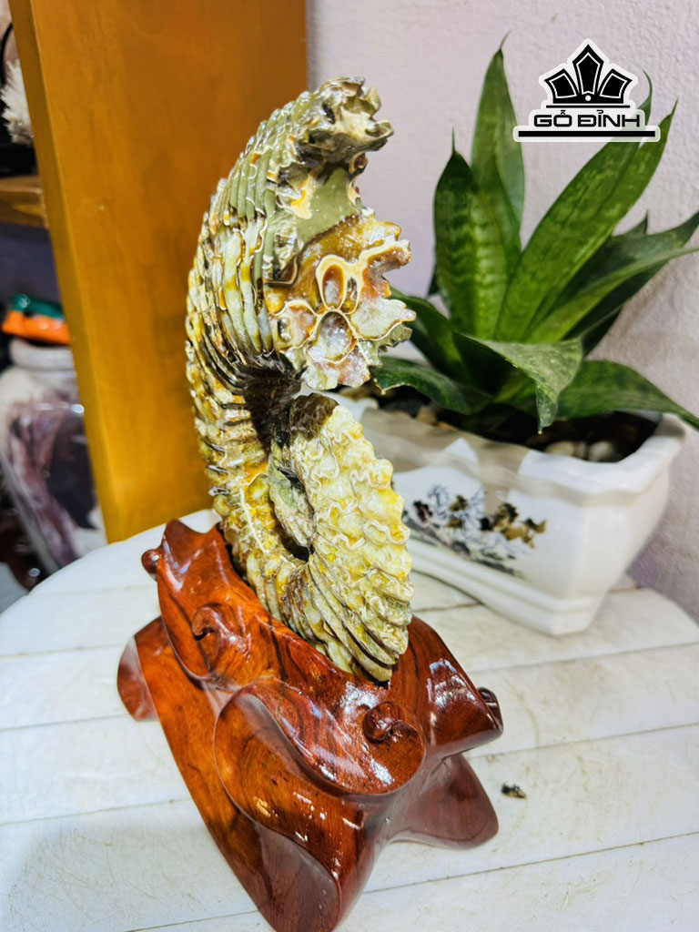tac-pham-oc-anh-vu-hoa-ngoc-cao-26-ngang-15-cm-18kg-445695