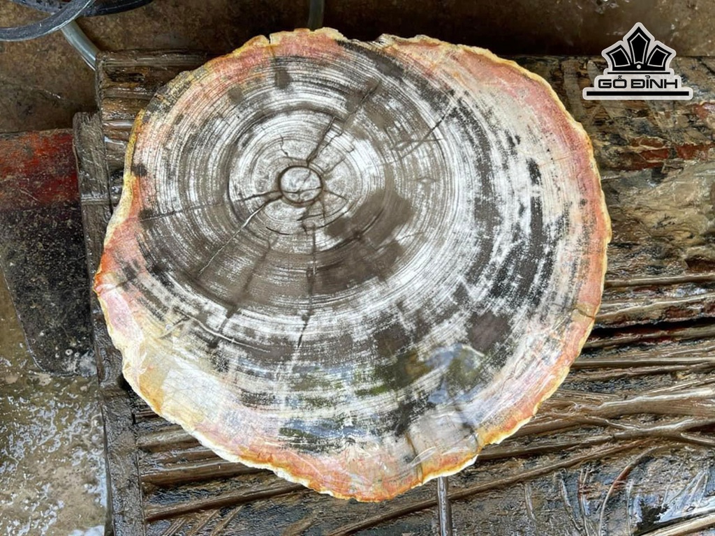 tac-pham-go-hoa-thach-cao-38-cm-79kg-445801