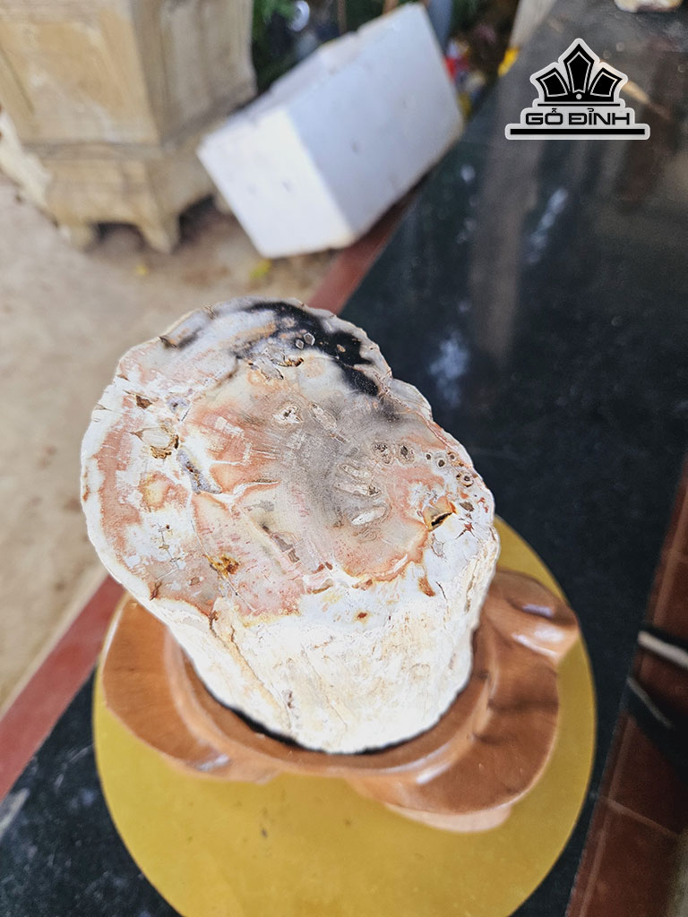 tac-pham-khuc-cay-hoa-ngoc-hong-dang-tru-cao-26-duong-kinh-11-cm-4kg-446106