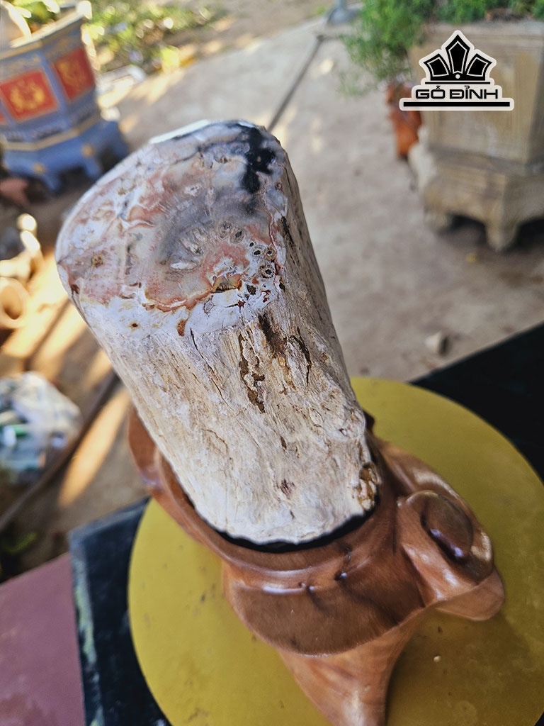 tac-pham-khuc-cay-hoa-ngoc-hong-dang-tru-cao-26-duong-kinh-11-cm-4kg-446107