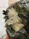 bong-hoa-uu-dam-da-tram-tich-cao-27-cm-7kg-446132