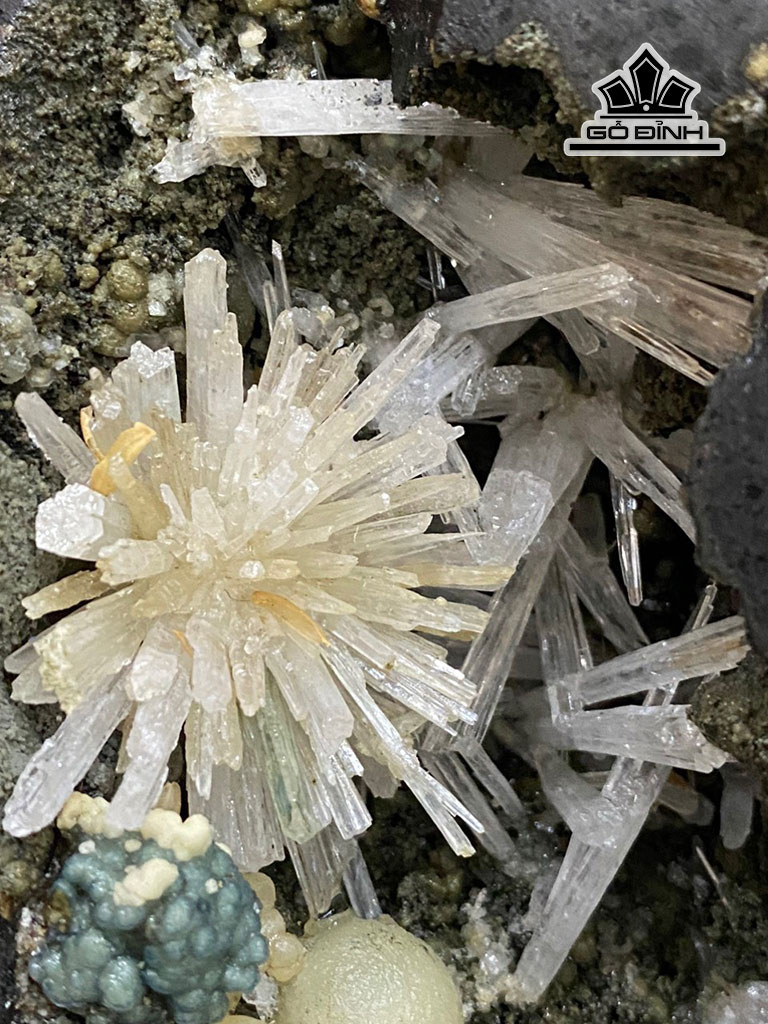 bong-hoa-uu-dam-da-tram-tich-cao-36-cm-84kg-446137