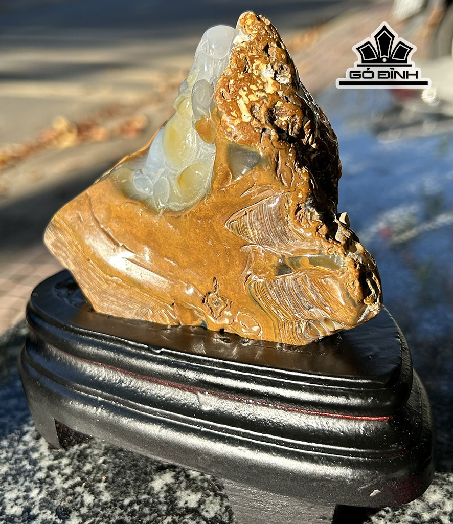 tac-pham-di-lac-da-ma-nao-cao-13-ngang-15-cm-822g-rieng-da-nang-576g-446321