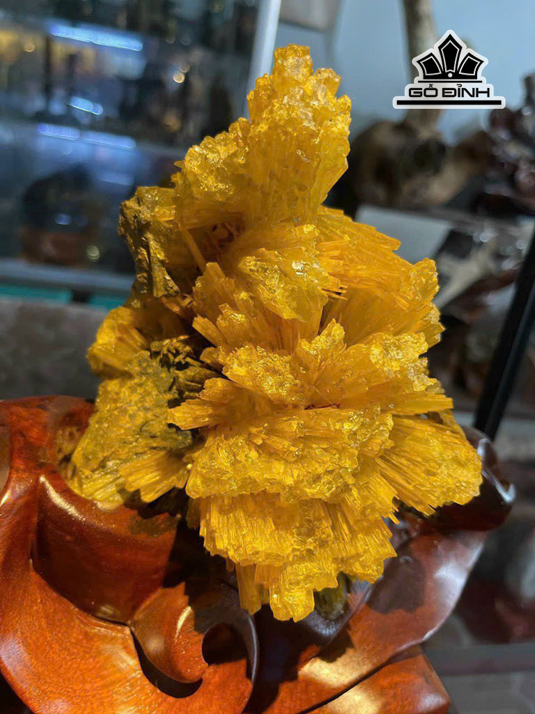 bong-hoa-uu-dam-da-tram-tich-cao-20-cm-17kg-446767