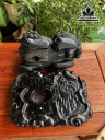 tuong-nghe-go-mun-sung-de-go-huong-cao-22-ngang-25-sau-17-cm-447583