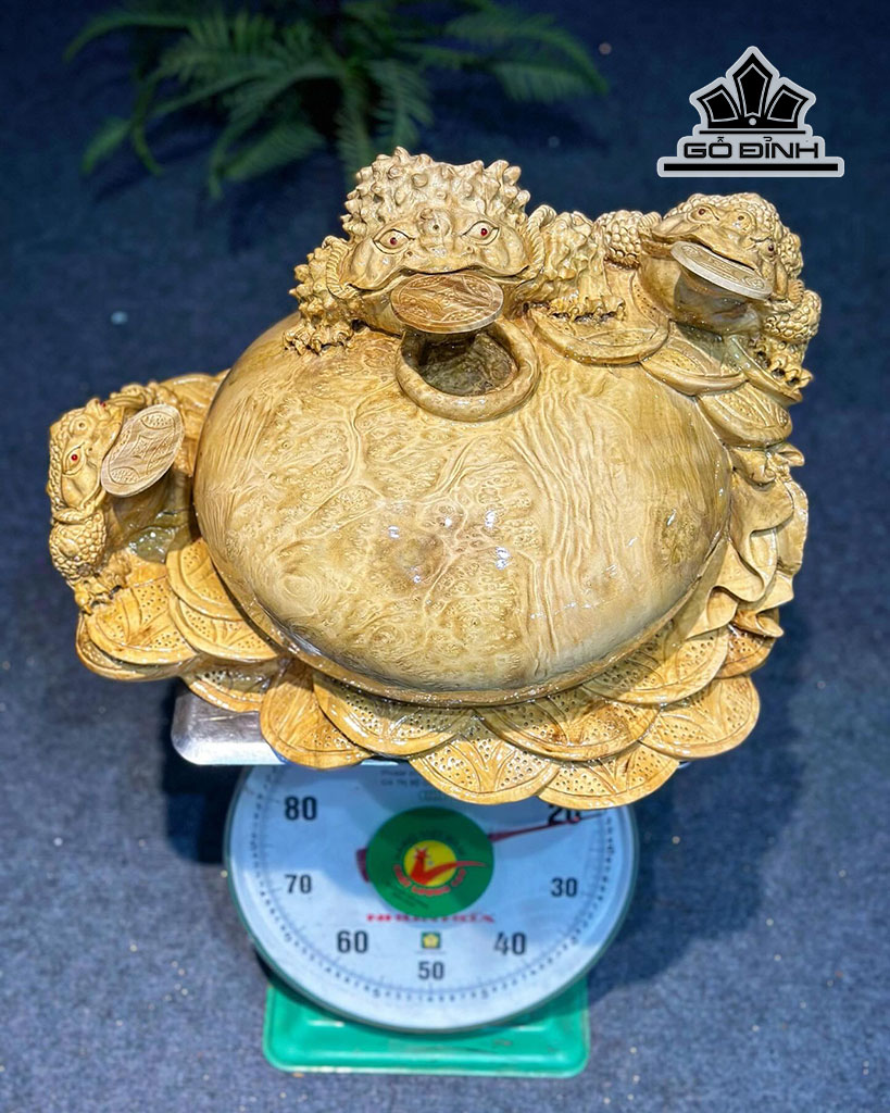 tuong-tam-coc-ngam-tien-go-nu-khao-cao-28-ngang-44-sau-38-cm-447702