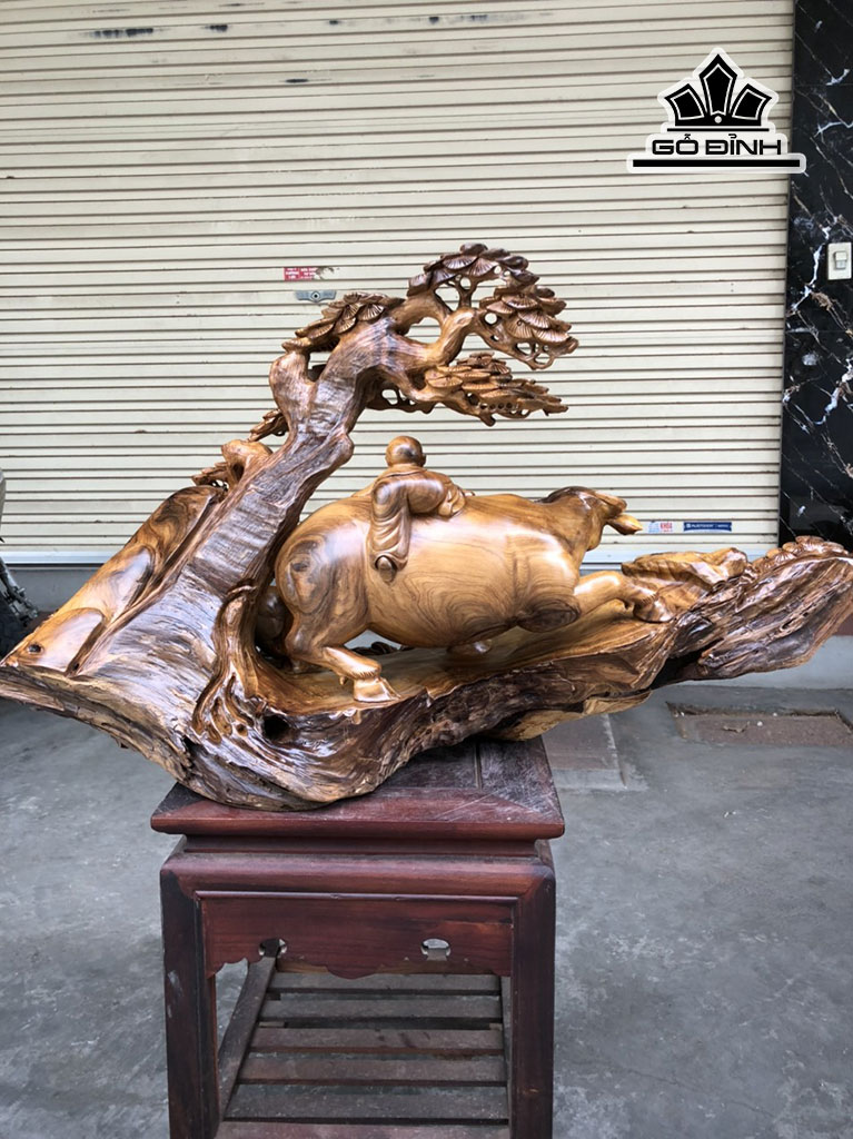 tieu-dong-chan-trau-thoi-sao-go-bach-xanh-cao-48-ngang-69-sau-30-cm-447765