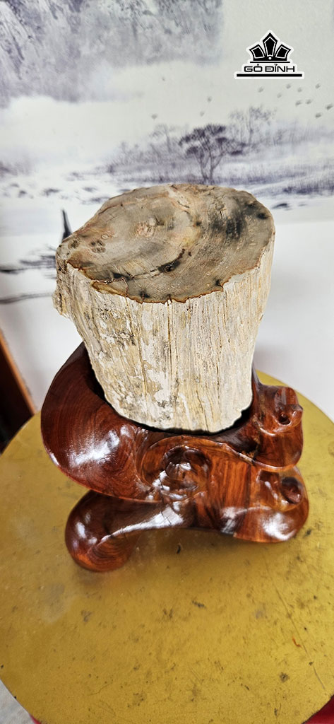 tac-pham-khuc-cay-go-hoa-ngoc-cao-22-ngang-11-cm-3kg-448240