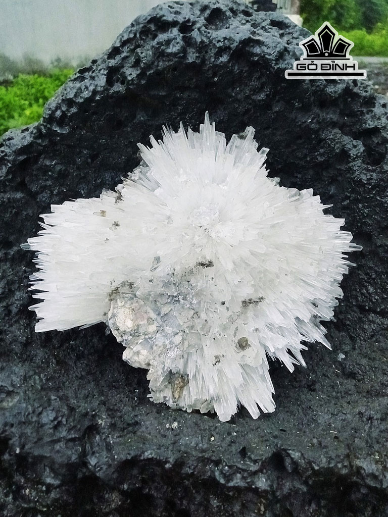 bong-hoa-uu-dam-da-tram-tich-cao-40-ngang-35-cm-16kg-448344