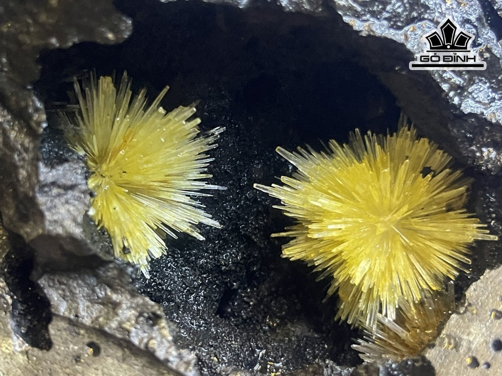 bong-hoa-uu-dam-da-tram-tich-cao-41-cm-95kg-448345