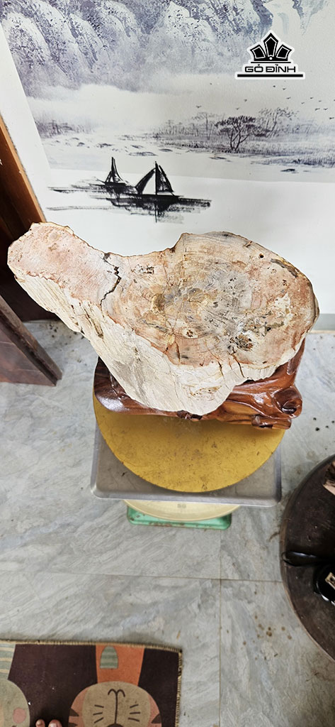 tac-pham-go-hoa-ngoc-cao-31-ngang-25-cm-12kg-448402