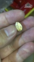 mat-day-chuyen-giot-nuoc-da-thach-anh-toc-vang-ba-mia-cao-129-ngang-88-sau-6-mm-1g-448410