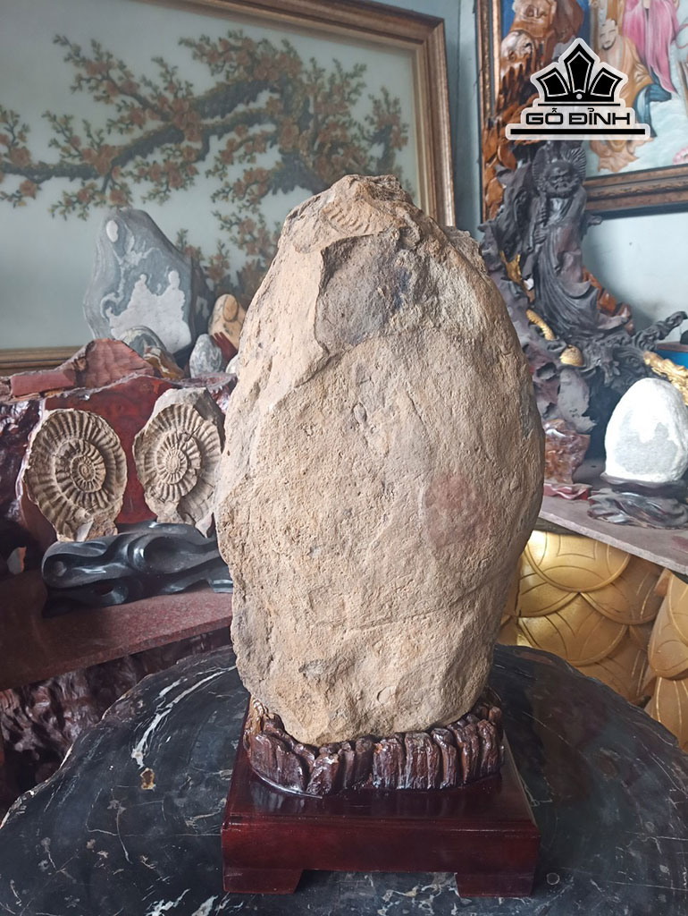 tac-pham-oc-go-hoa-thach-cao-60-ngang-26-cm-40kg-448433