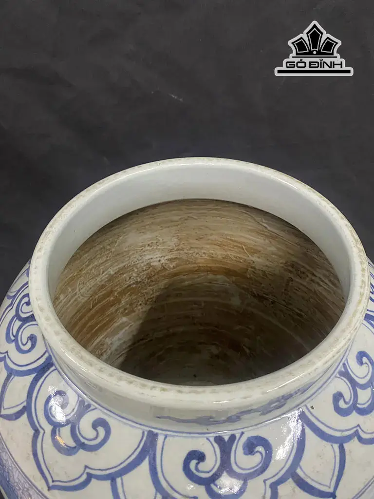 chum-ve-tich-tam-su-hoc-gom-tau-cao-44-duong-kinh-bung-120-cm-448502