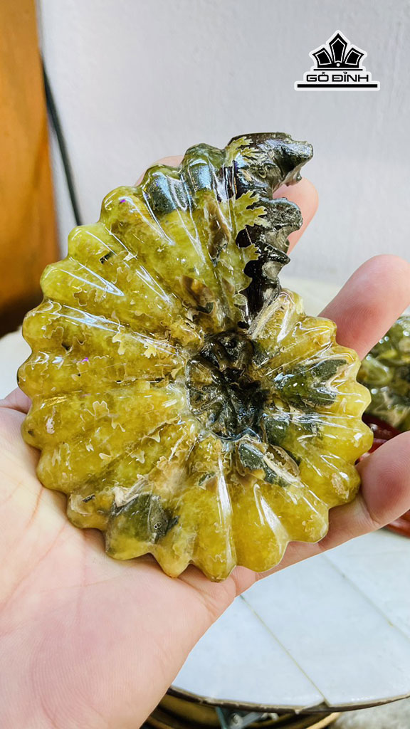 tac-pham-oc-anh-vu-hoa-ngoc-cao-17-ngang-22-cm-14kg-448679