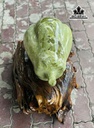 qua-du-du-da-serpentine-ngang-50-duong-kinh-30-cm-35kg-449086