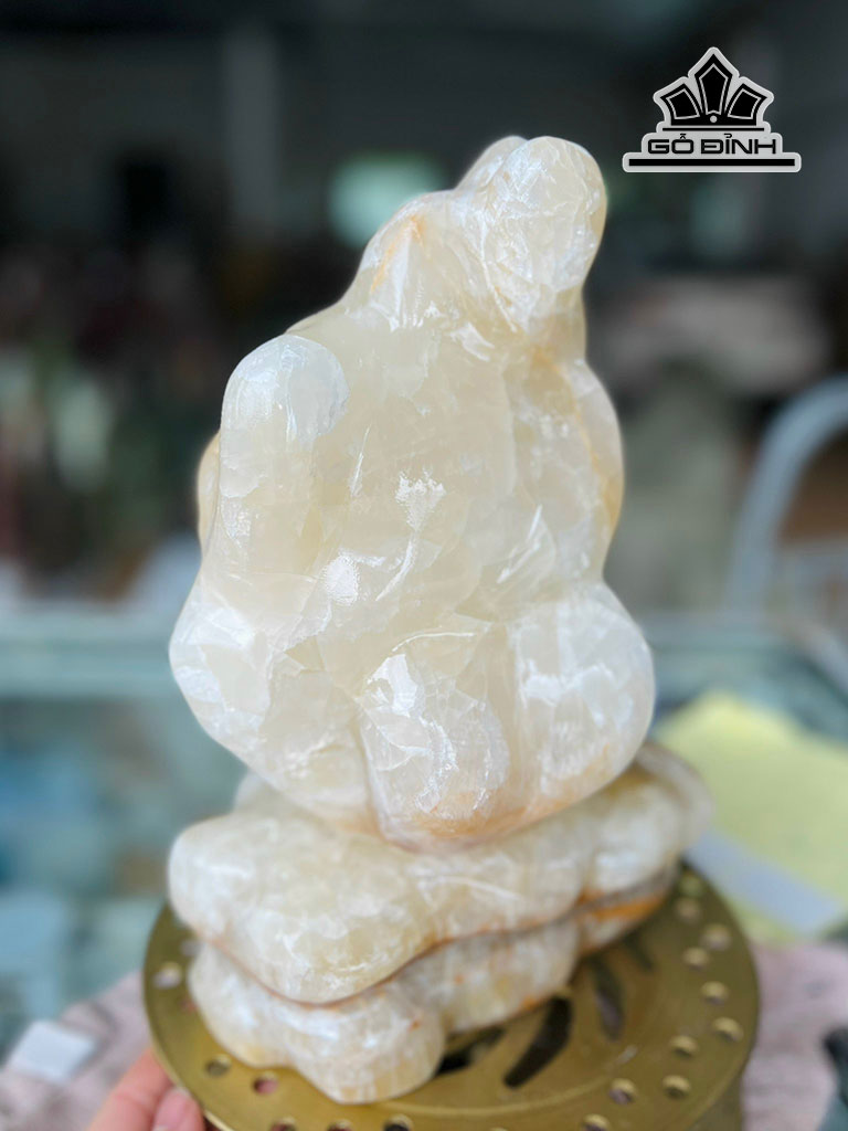 tac-pham-da-canxit-cao-26-ngang-16-sau-12-cm-76kg-449110