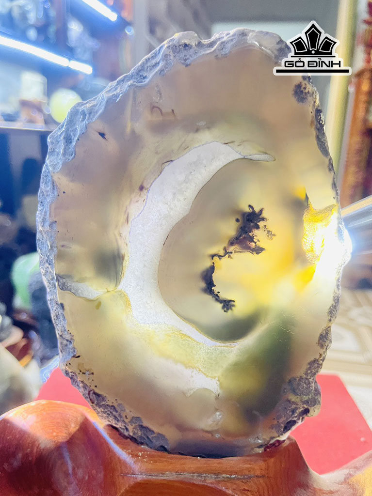 tac-pham-da-ma-nao-cao-28-cm-14kg-449215