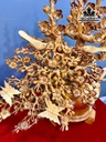 binh-mai-phu-quy-go-huong-cao-67-ngang-55-sau-42-cm-449526