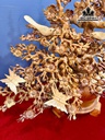 binh-mai-phu-quy-go-huong-cao-67-ngang-55-sau-42-cm-449527