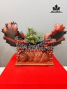 tuong-ca-xiem-go-trac-cao-52-ngang-76-sau-31-cm-449541