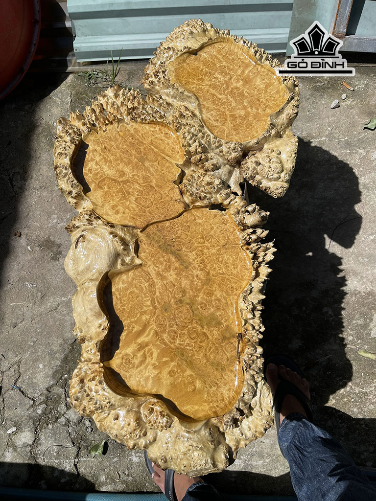 khay-tra-go-nu-doi-dai-80-rong-43-day-5-cm-449723