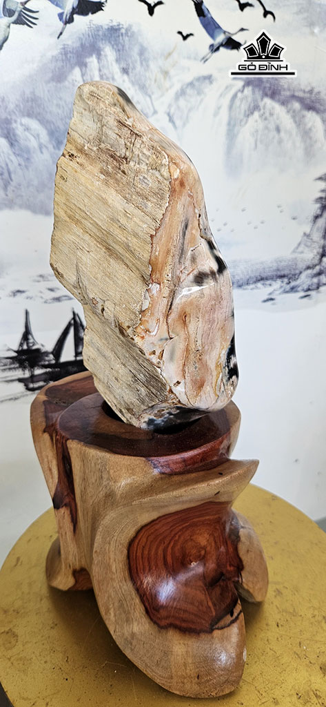 tac-pham-mun-den-go-hoa-thach-cao-38-ngang-10-cm-4kg-449875