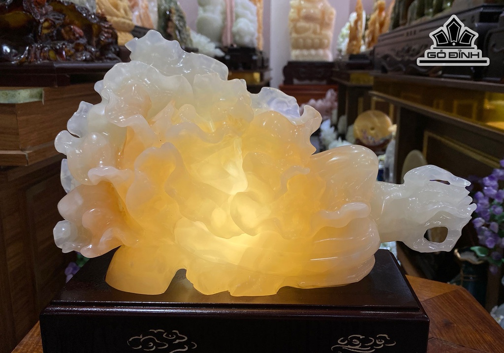 tac-pham-cai-thao-phu-quy-da-onyx-cao-35-ngang-22-ca-de-cao-30-cm-449880