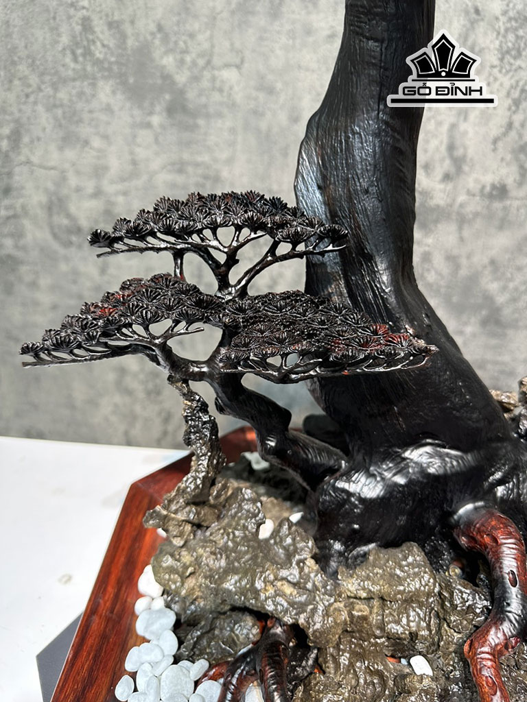 chau-tung-bonsai-go-trac-cao-79-ngang-65-sau-39-cm-450412