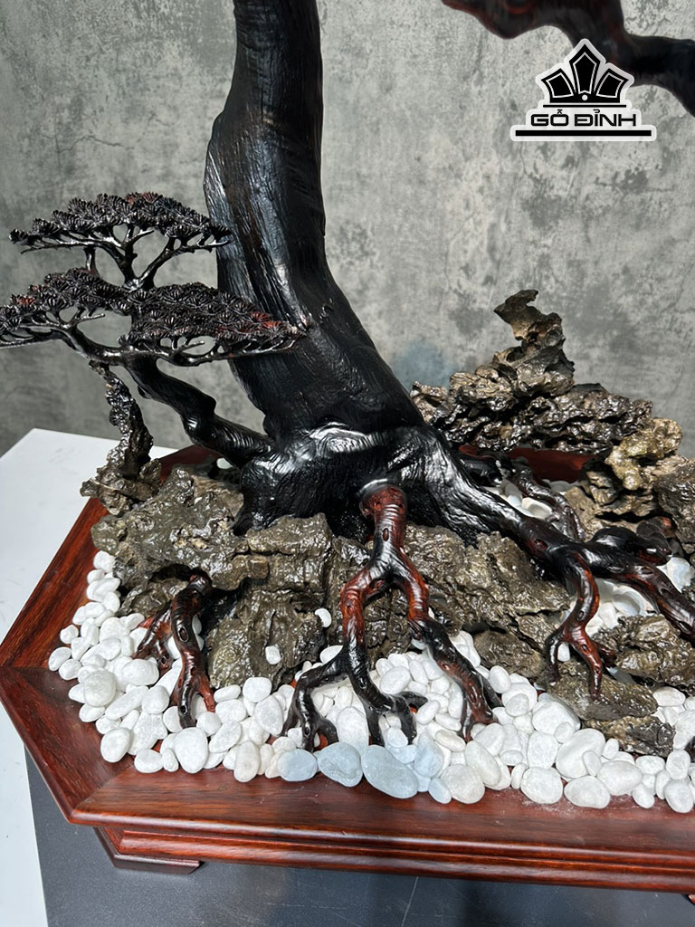 chau-tung-bonsai-go-trac-cao-79-ngang-65-sau-39-cm-450414