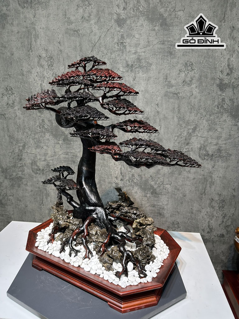 chau-tung-bonsai-go-trac-cao-79-ngang-65-sau-39-cm-450416
