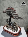 chau-tung-bonsai-go-trac-cao-79-ngang-65-sau-39-cm-450416