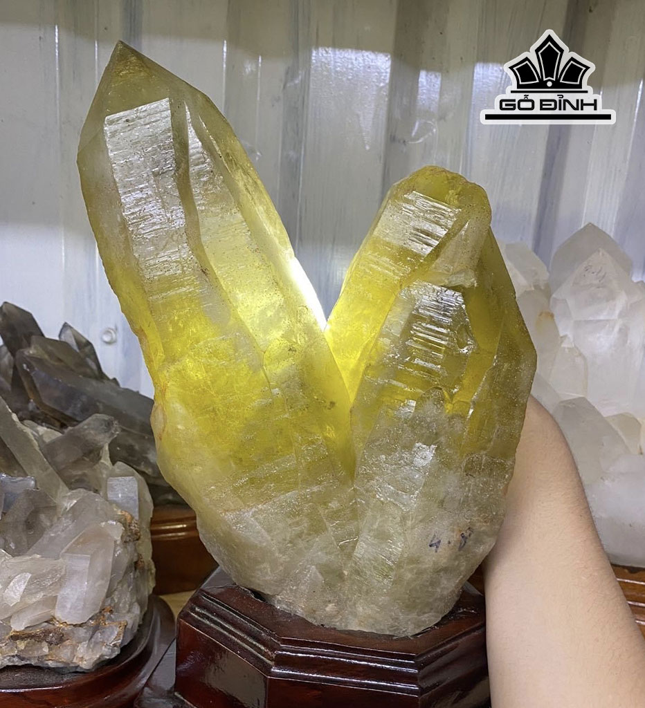 tac-pham-da-thach-anh-vang-485kg-450653