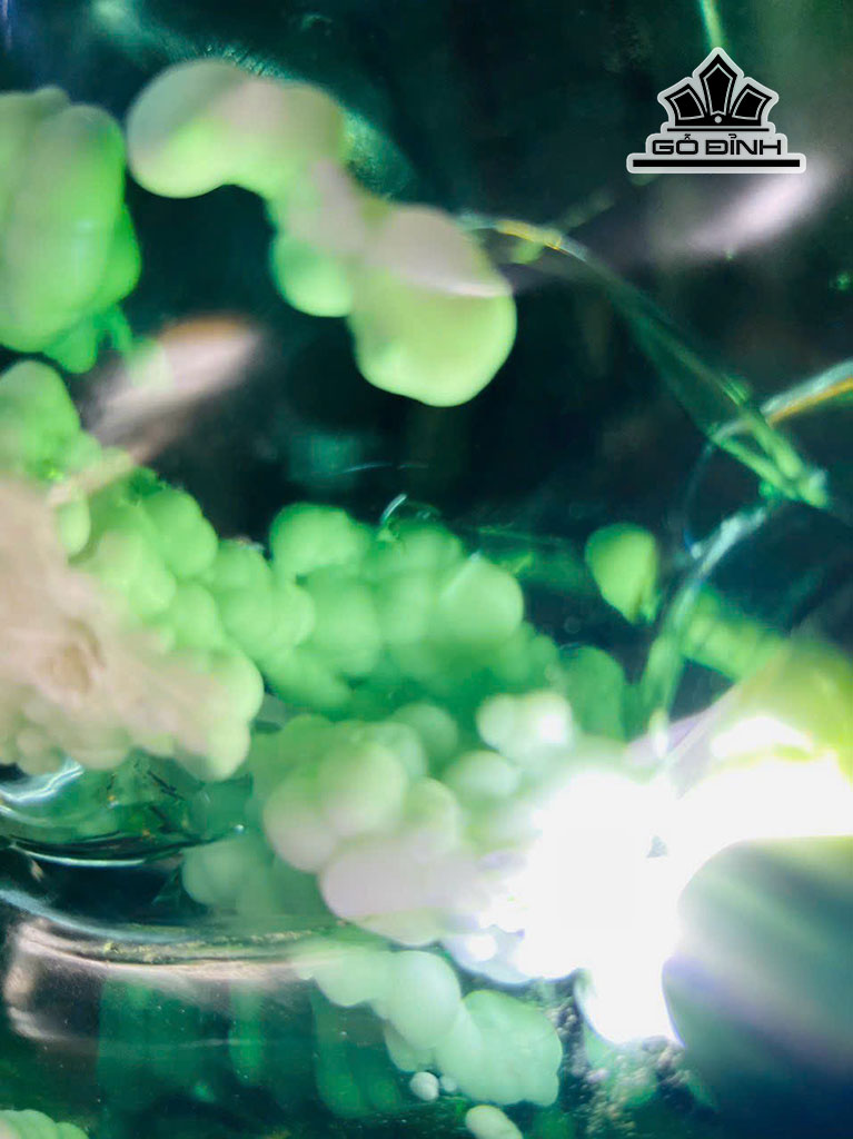 tac-pham-da-thuy-tinh-bong-tuyet-cao-39-cm-10kg-450730