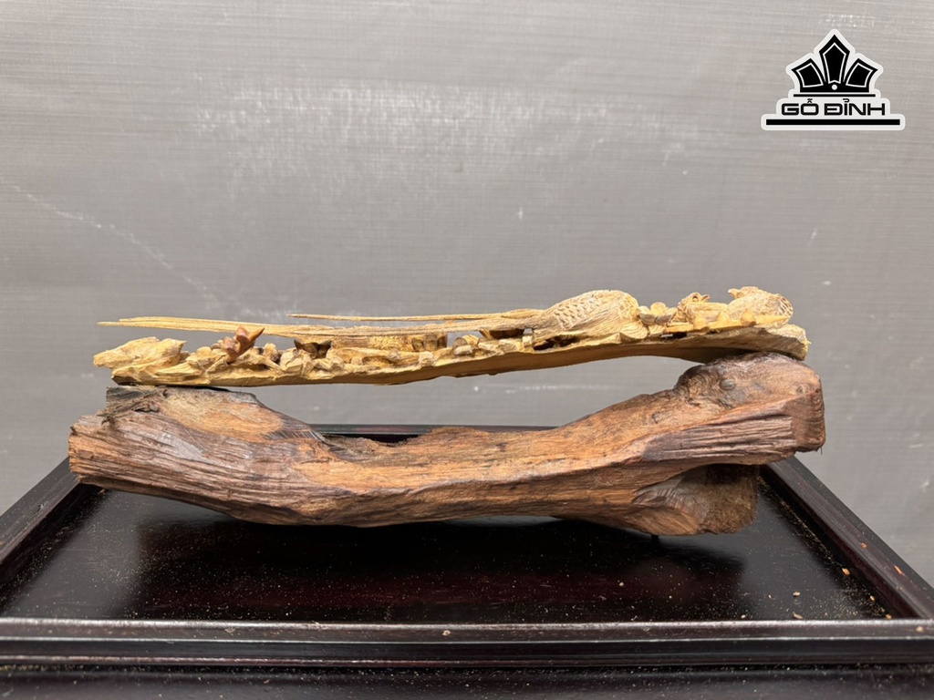 cau-nhu-y-go-trac-cao-11-ca-de-go-trac-ngang-32-sau-6-cm-450804