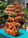 tuong-tieu-dong-chan-trau-goc-tung-go-huong-cao-63-ngang-50-sau-20-cm-450978