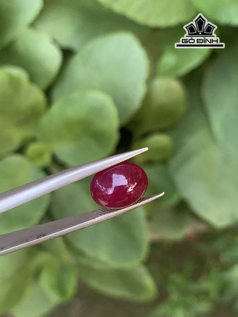 vien-da-ruby-cao-11-ngang-95-sau-48-mm-465cts-451024