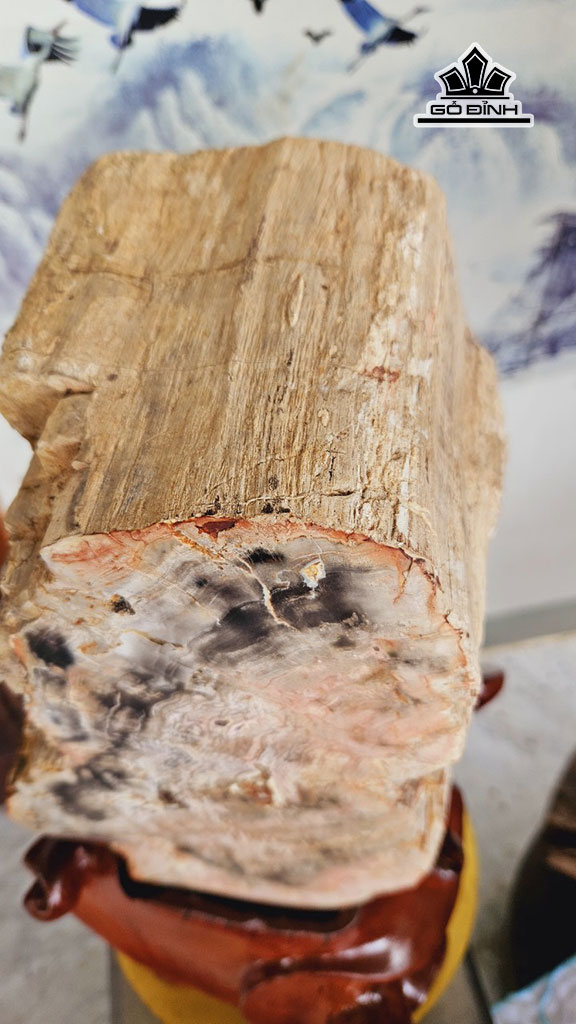 tac-pham-go-hoa-thach-cao-52-ngang-27-cm-20kg-451038