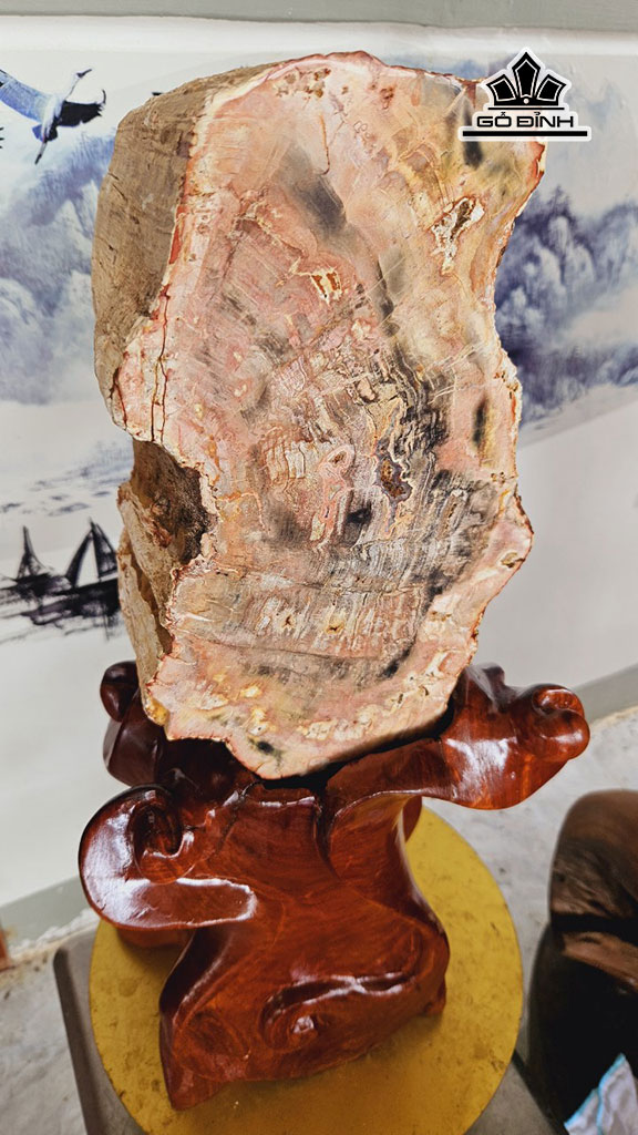 tac-pham-go-hoa-thach-cao-52-ngang-27-cm-20kg-451039